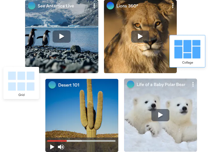 aplikasi-galeri-video-situs web